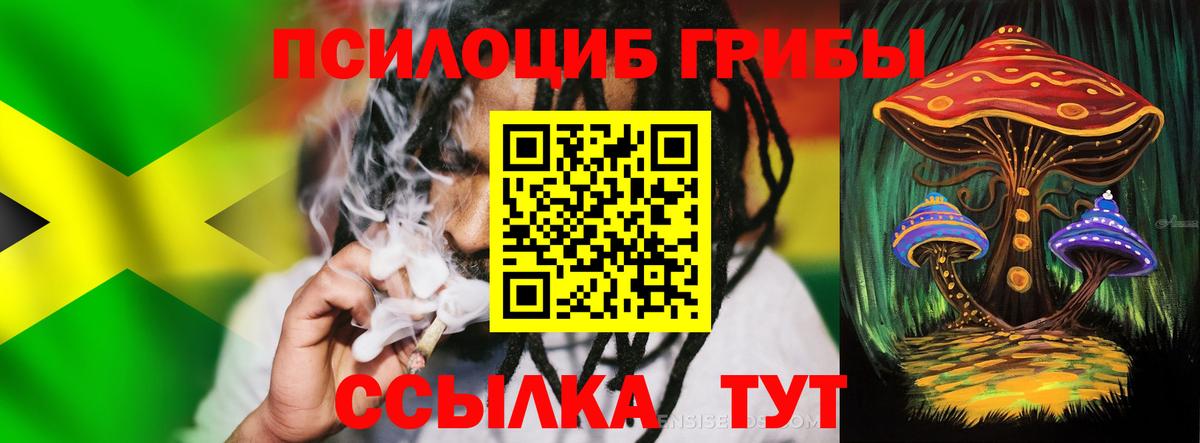 где можно купить   Галлюциногенные грибы Psilocybine cubensis  Вход с VPN  Вольск 